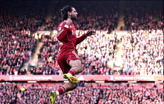 索博：为什么！图尔多：不好意思，谢谢你！